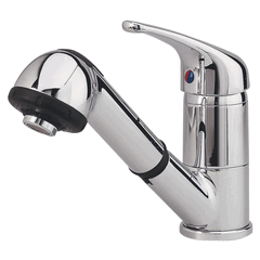 Mixer Tap With Shower Head 