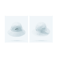 Broad Brim Hat