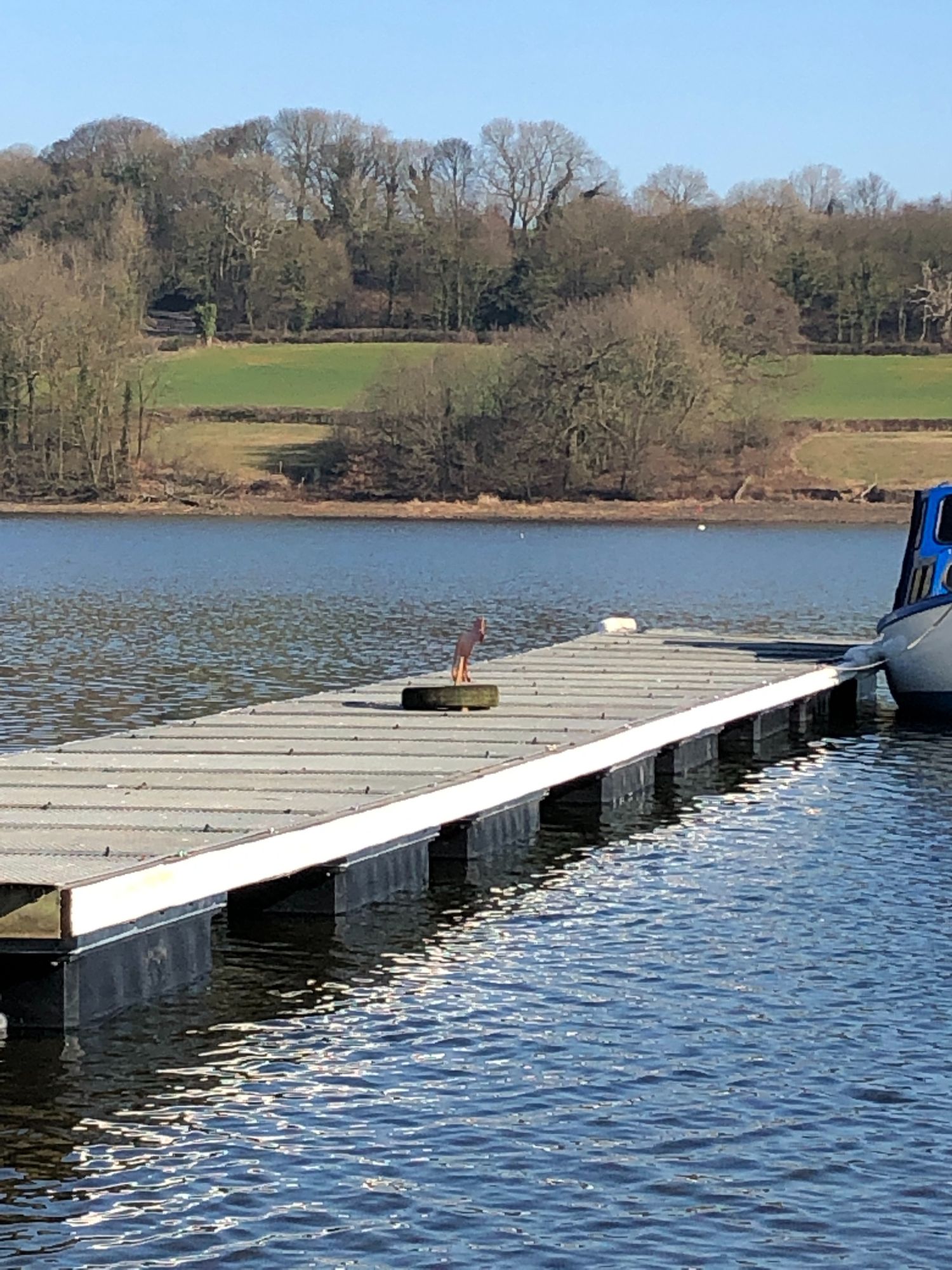 Pontoon Float MP 80 700mm(L) x 220mm(W) - Image 2