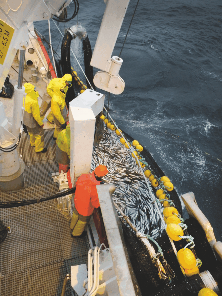 Polyform BPB Bacell Floats in use on a fishing vessel